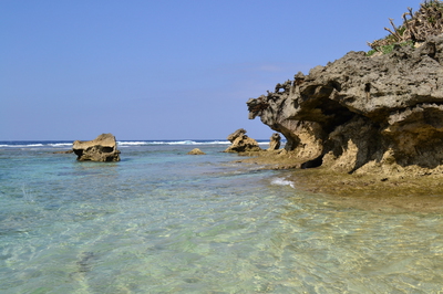 b0121019_20263088.jpg