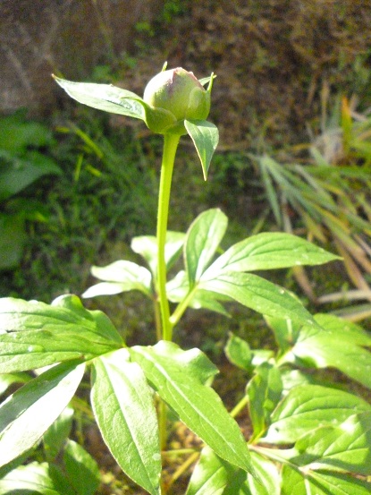 f0228619_10303990.jpg