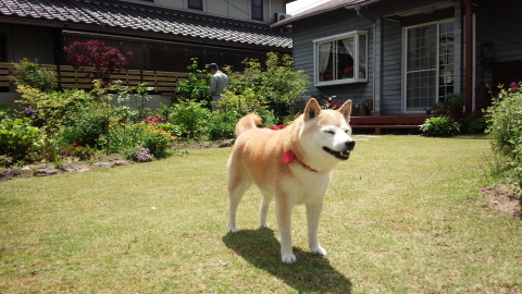 c0060620_23225020.jpg