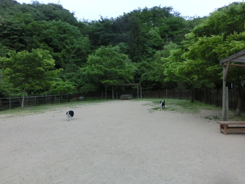 e0179321_16125272.jpg
