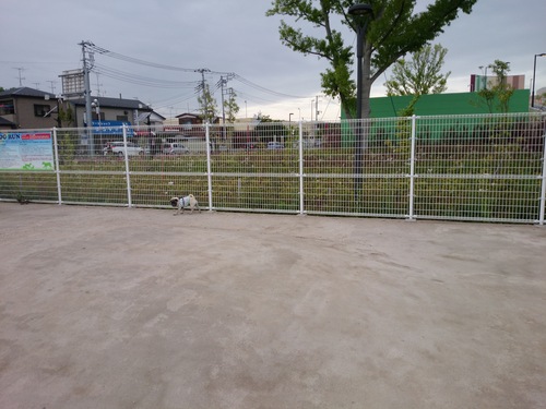 f0128821_2314670.jpg