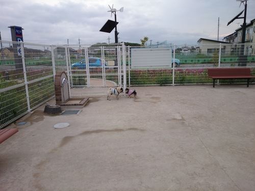 f0128821_232316.jpg