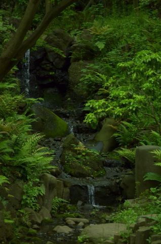 f0321522_1984232.jpg