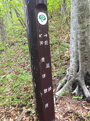 b0091423_16595615.jpg