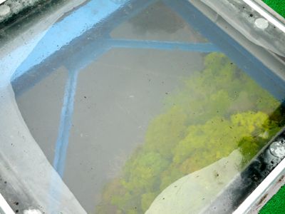 f0165831_2114283.jpg
