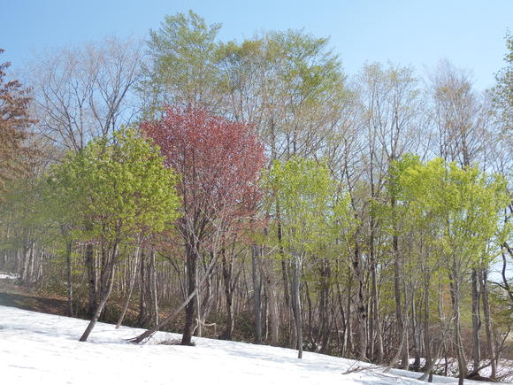 f0118332_20212643.jpg