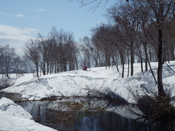 f0118332_20314777.jpg