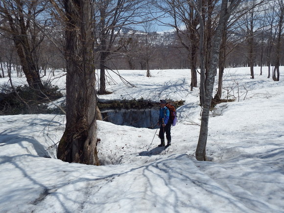 f0118332_20323499.jpg