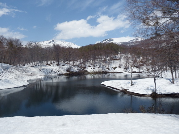 f0118332_20425077.jpg