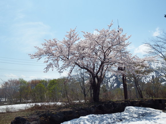 f0118332_20435021.jpg
