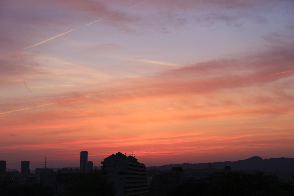 c0169436_20573779.jpg
