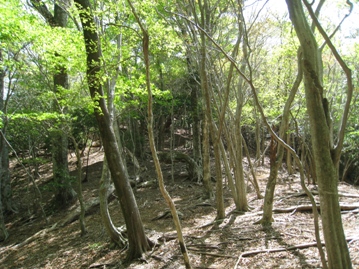 c0077338_21234994.jpg