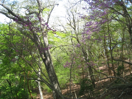 c0077338_21241035.jpg