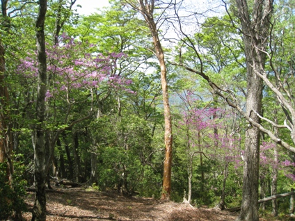 c0077338_21245581.jpg