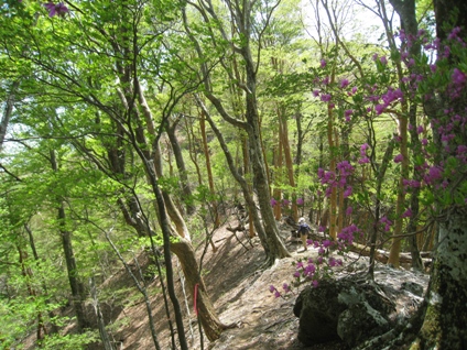 c0077338_21251458.jpg