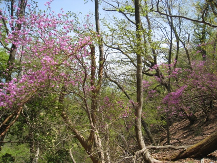 c0077338_21255187.jpg