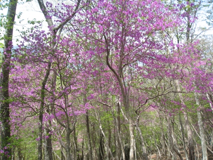 c0077338_2126797.jpg