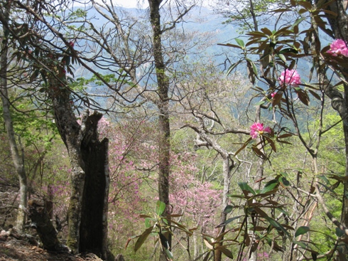 c0077338_22113548.jpg