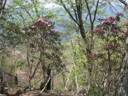 c0077338_22114556.jpg