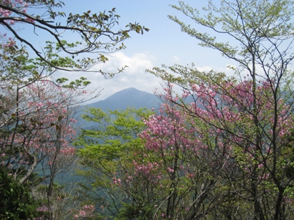 c0077338_22121363.jpg