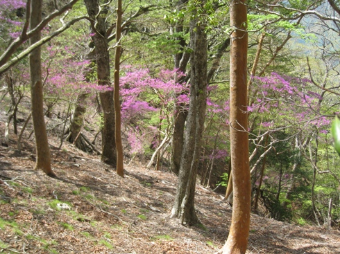 c0077338_22124778.jpg