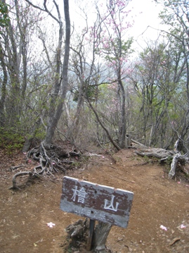 c0077338_22132510.jpg