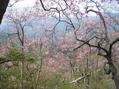 c0077338_22132748.jpg