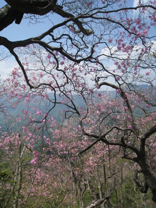 c0077338_22135956.jpg