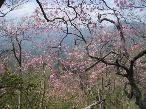 c0077338_2214117.jpg