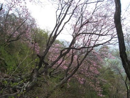 c0077338_22143149.jpg
