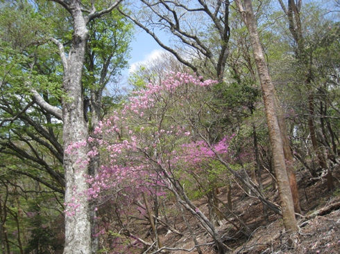 c0077338_22143611.jpg