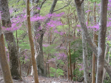 c0077338_221562.jpg