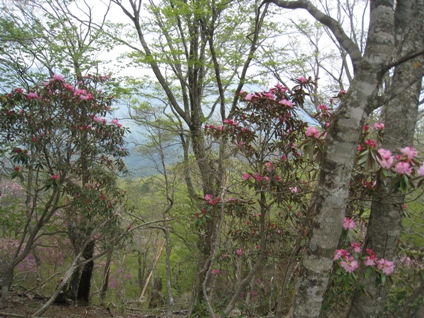 c0077338_2215960.jpg
