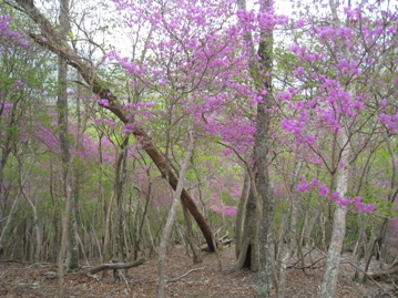 c0077338_22162812.jpg
