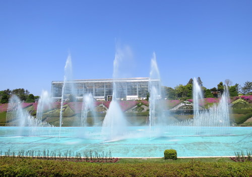 b0178339_17003515.jpg