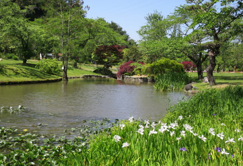 b0178339_17145221.jpg