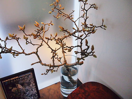 e0022839_21474814.jpg