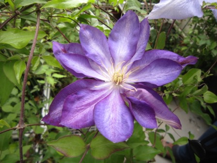 c0025140_20495032.jpg