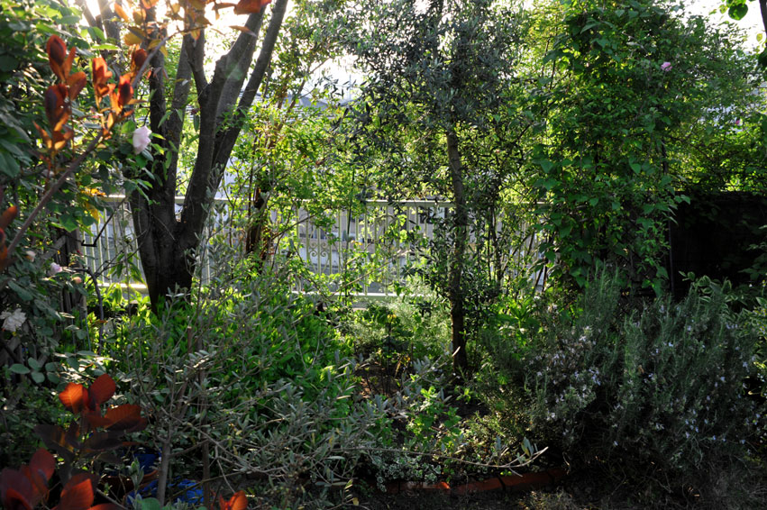 b0075541_17272964.jpg