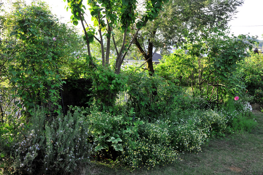b0075541_17282234.jpg