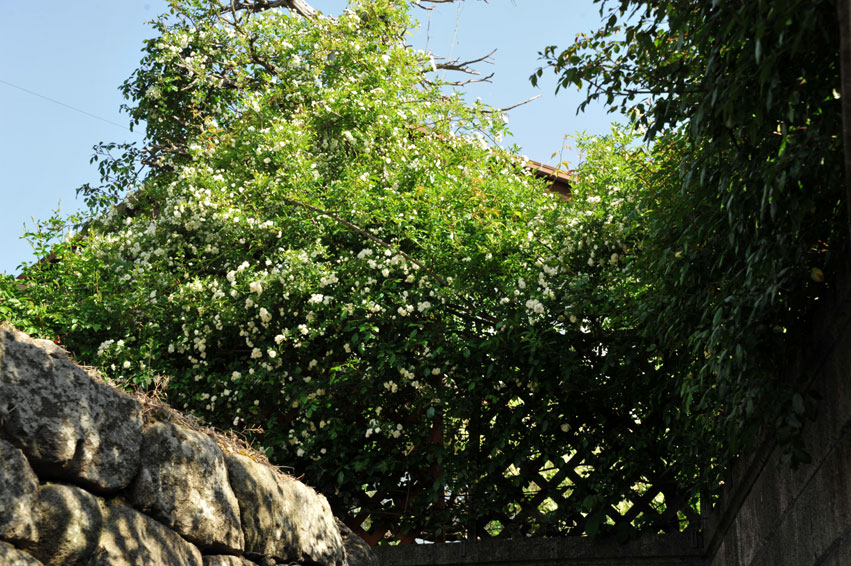 b0075541_18264490.jpg