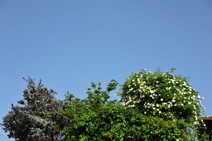 b0075541_18291064.jpg
