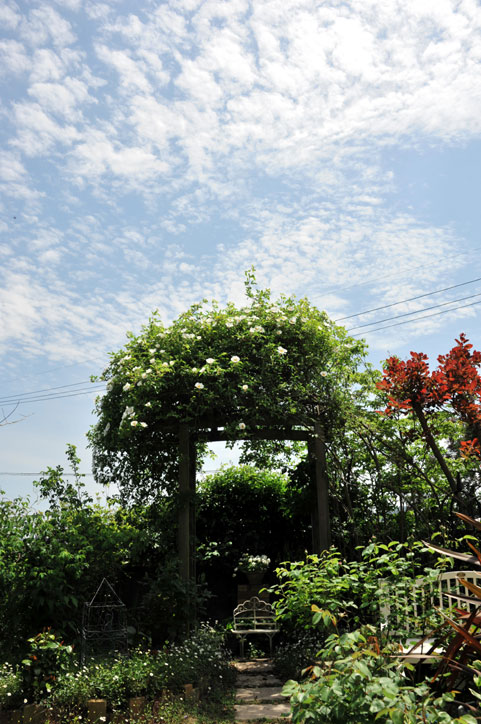 b0075541_1838521.jpg