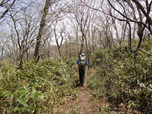 c0179351_17262866.jpg