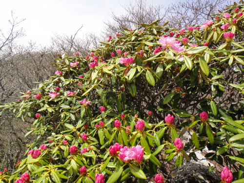 c0179351_1726770.jpg