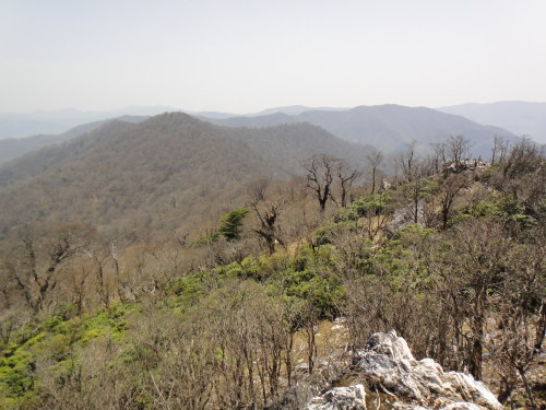 c0179351_17271123.jpg