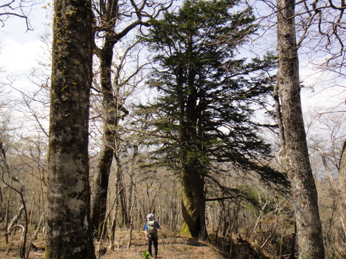 c0179351_1732927.jpg