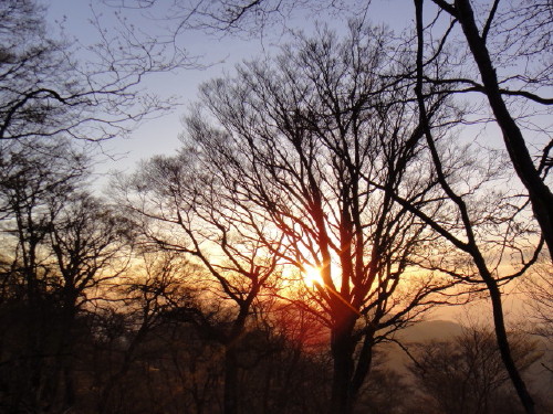 c0179351_17483039.jpg