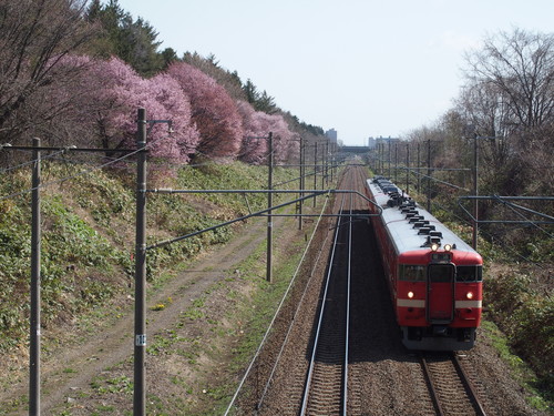 f0027355_15283793.jpg