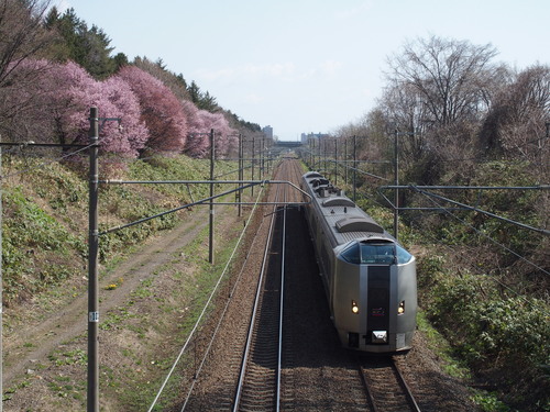 f0027355_15322730.jpg